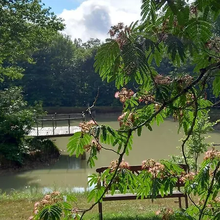 Le Jardin De Myrtille Saint-Géraud-de-Corps