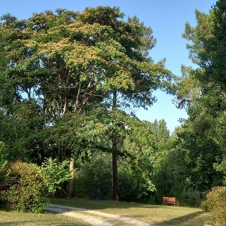Le Jardin De Myrtille
