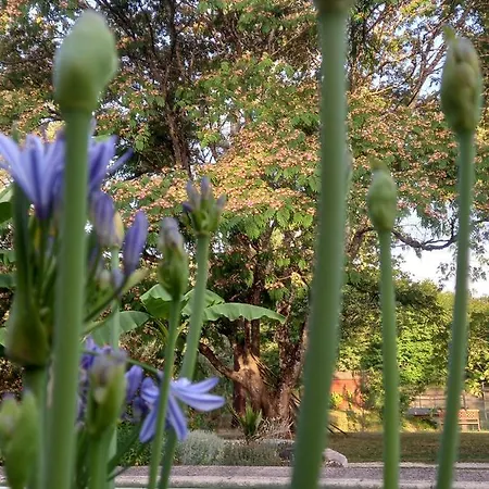 Le Jardin De Myrtille Bed & Breakfast