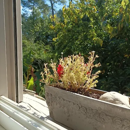 Bed & Breakfast Le Jardin De Myrtille